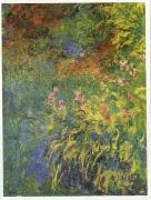 Claude Monet Irises, 1914-17 Sweden oil painting reproduction